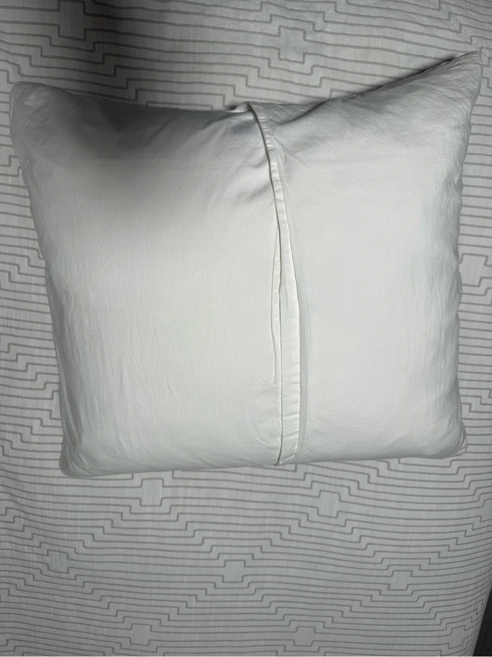 Three (3) West Elm Euro Shams